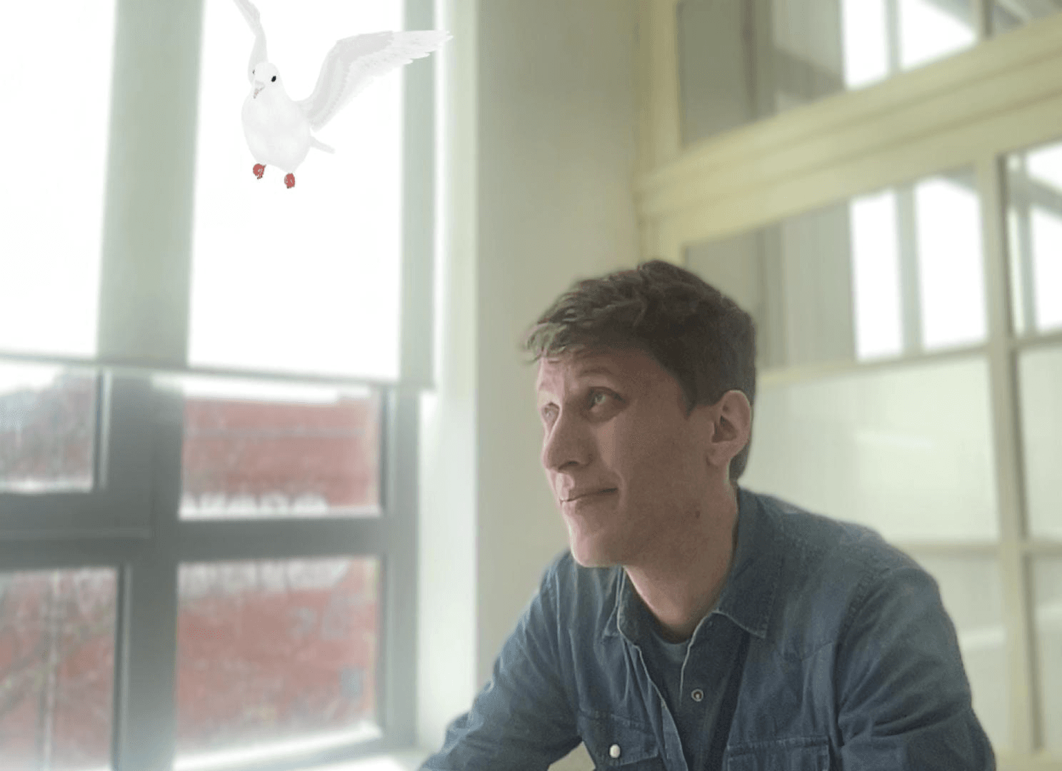 AR Dove
